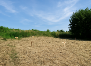 Jaka działka pod budowę domu szkieletowego?